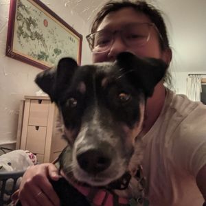 Meet your Posher, Phoebe